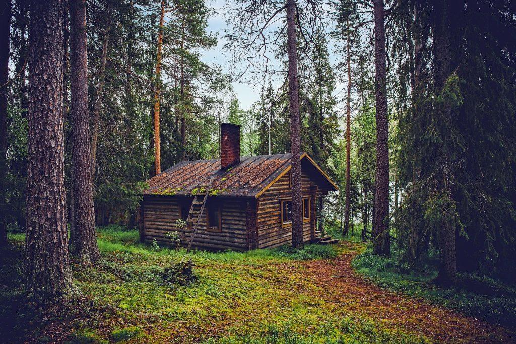 cabin in woods